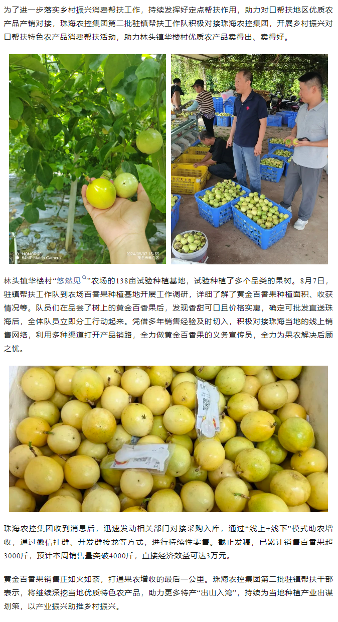 买球官网手机版·(中国)官方网站集团助力产销对接 对口帮扶果香飘百里.png